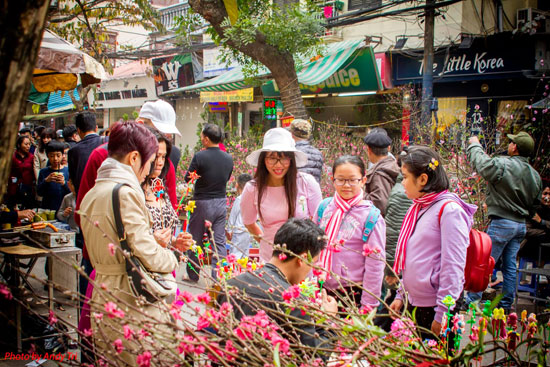 Chợ hoa tết Hà Nội Hàng Lược