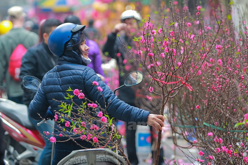 Chợ hoa tết Hà Nội Lạc Long Quân