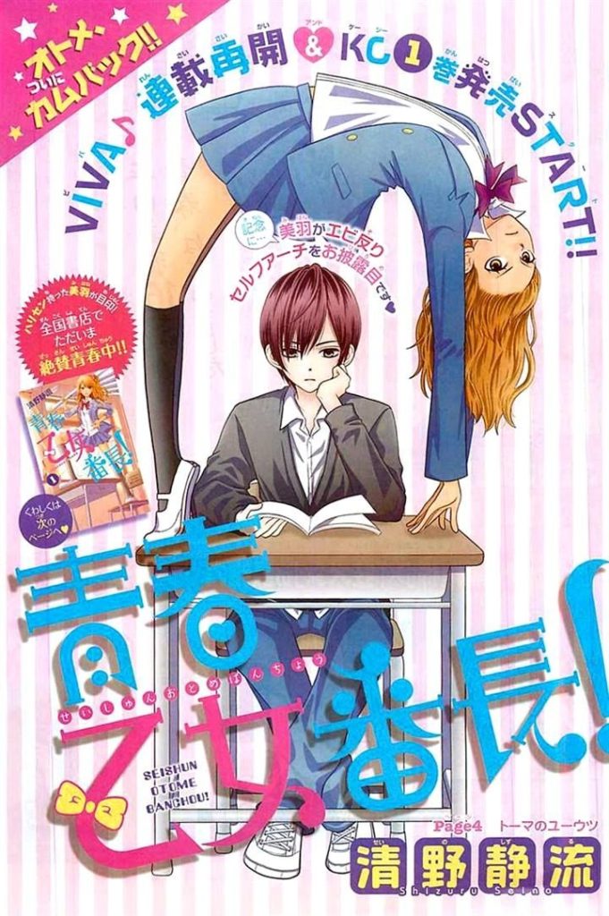 hình ảnh poster truyện Seishun otome banchou