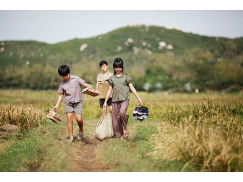 Tôi thấy hoa vàng trên cỏ xanh - Cuốn tiểu thuyết hay của Nguyễn Nhật Ánh