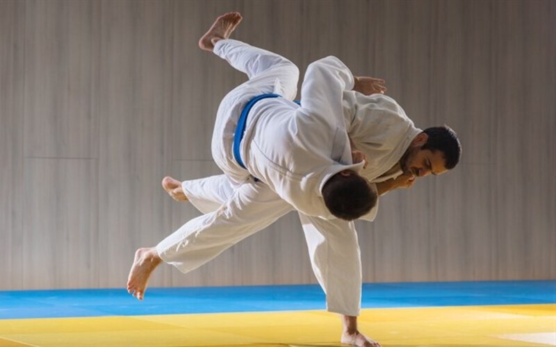 hình ảnh bộ môn võ tự vệ Judo