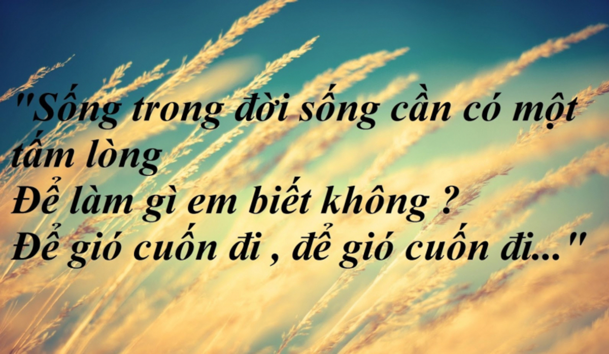 You are currently viewing Top 5 Bài nghị luận Sống trong đời sống cần có một tấm lòng