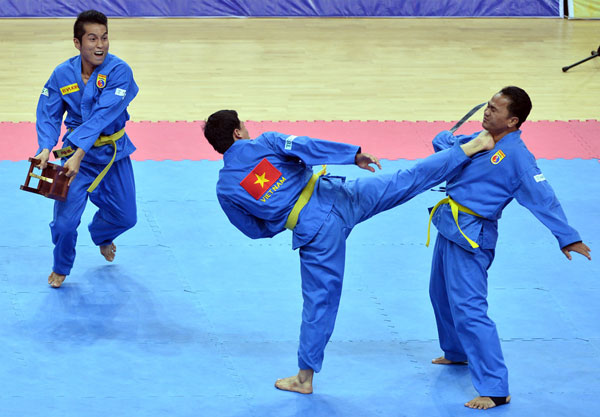 hình ảnh bộ môn võ tự vệ Vovinam