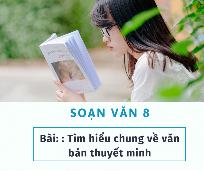 Bài soạn "Tìm hiểu chung về văn bản thuyết minh" số 4