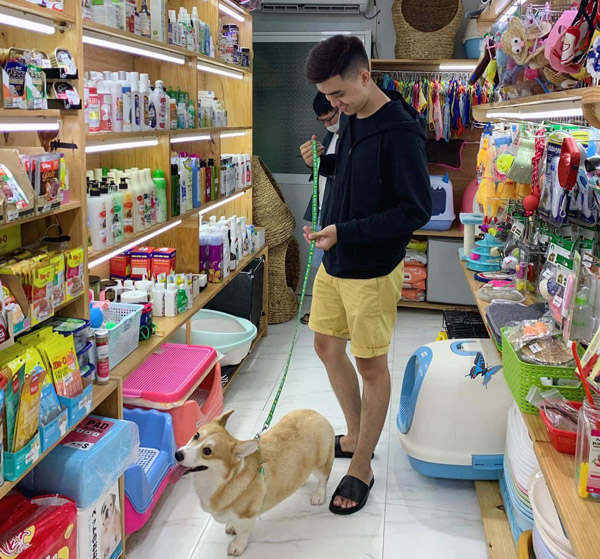 Golden Pet Shop